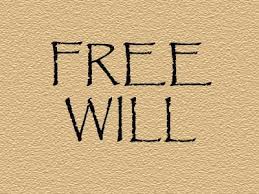 free will 3